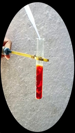 𝘾𝙝𝙚𝙢𝙞𝙨𝙩𝙧𝙮🍁#shorts #science #chemistry #explore #experiment #school #practical #art #creative #lab