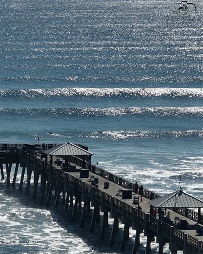 Check out the epic drone footage of Hurricane Erin's massive swell slamming into Northern Palm Beach County! The waves were firing, and surfers were out in full force riding these giants. Filmed August 21st, 2025. | Paul Dabill Photography