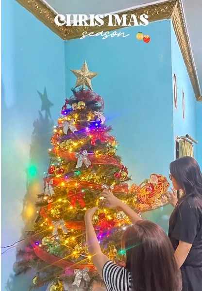 christmas tree time🎄🧑‍🎄