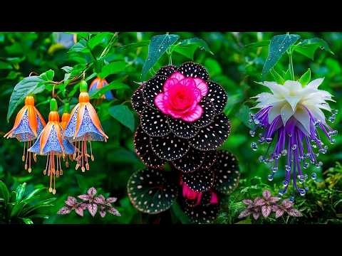 These Flowers Are So Rare Most People Will Never See Them