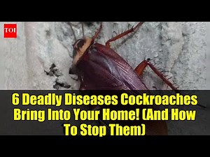 6 Deadly Diseases Cockroaches Bring Into Your Home! (And How To Stop Them)