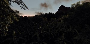 Crysis Ultra Config v1.0 file