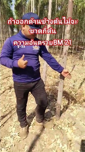 The "BM21" activated but did not explode; it went out to the side, splitting trees in a row.