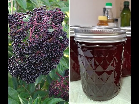 Elderberry Syrup | Harvest To Canned