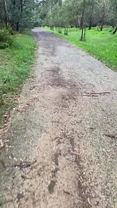 9.9K views · 1.9K reactions | Faces smiling with glee.. Saying follow...