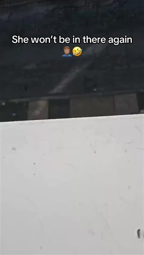 PNE team💪 PNE (@preston.pooches)’s videos with The Benny Hill Show - The Edwin Davids Jazz Band