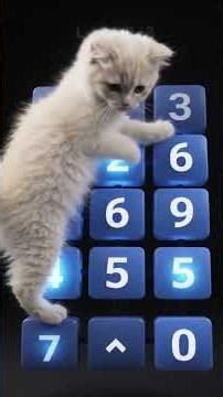 tap dance floor