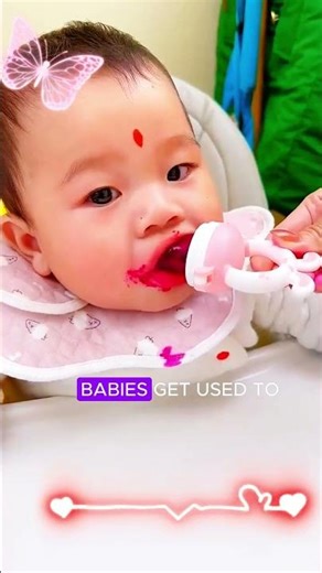 Fruit Pacifier| Q Bee