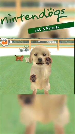 Nintendogs Lab and Friends (2005)