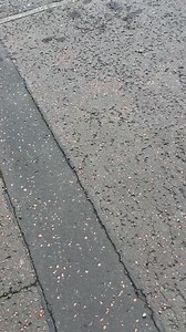 Child Protection Awareness on Reels