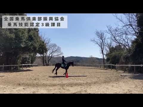 Must-see! Level 3 license explanation video