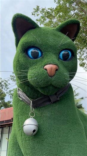 I heard crying cat and find this big green kitty 🐈‍⬛ like alive😿#crazykozak #catman #catlover #cat