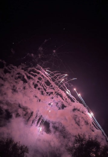 Captivating Fireworks Display at Night