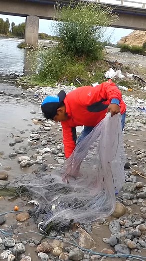 Gran Pesca con Atarraya en Río | And Moll