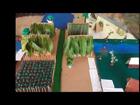 Representação dos quilombos através de maquetes.