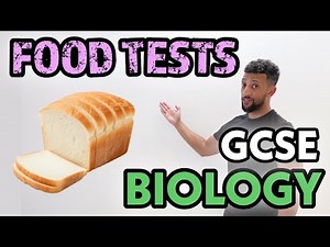 GCSE Biology - Food Test Rap