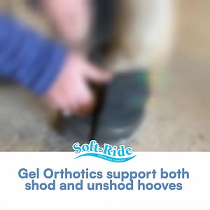 🐎 Get Ultimate Comfort with Soft Ride Boots! 🐎 👢 Soft Ride Boots & Gel Inserts: ✅ Soft Ride's patented Gel Orthotic Inserts provide unparalleled comfort. ✅ Gel Orthotics support both shod and unshod hooves. ✅ Standard turquoise orthotics for sizes 2-7; purple for sizes 8-10. ✅ Specialty and replacement orthotics available for purchase. Tap "Learn more" below and step into premium care! 👇 | Soft Ride Equine Comfort Boots