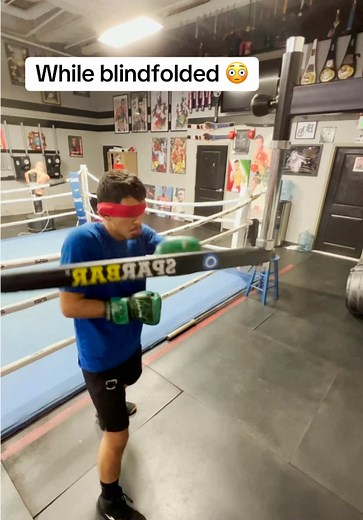 Blindfolded Boxer's Unmatched Muscle Memory