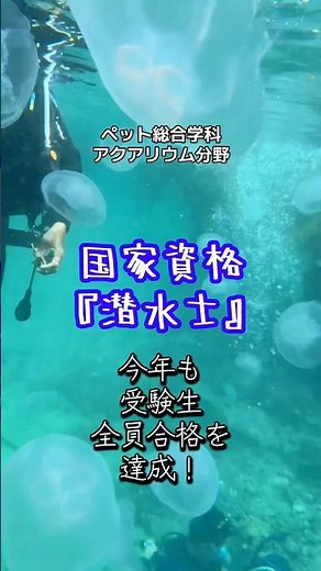 【河原アイペットワールド】国家資格『潜水士』！今年も受験生全員合格達成！！ #専門学校 #国家資格 #潜水士 #合格