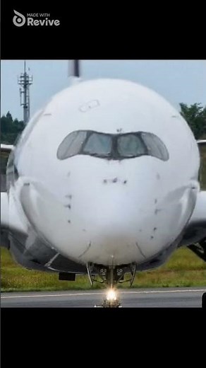 Airbus A350 Sings "BE AMAZING"?! 🌟✈️ Epic Cece Cruz-Lenor Motivational Plane Meme!