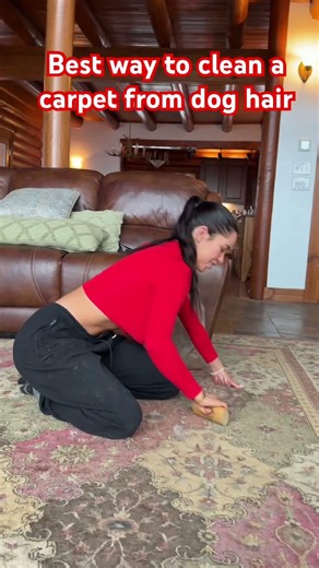 Best way to clean dog hair of a carpet - secret hack #cleaningblog #cleaningmotivation #cleaningtips