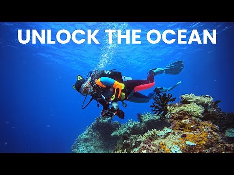 What Scuba Diving Is REALLY Like for Beginners