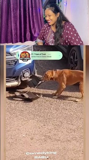 Ah gaya tar cutting device hat ma #DogShorts #FunnyDog #TalkingDog #Hindi #DogMemes #PetMemeHub