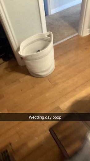 Rehearsal Dinner Gone Wrong: Wedding Day Follies