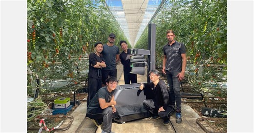 Harvest robot for snack tomatoes commercial-ready