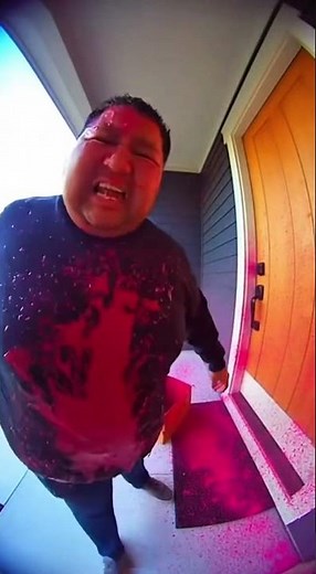 Angry Porch Pirate Punches Security Cam 👀