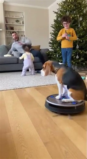 Dog Controls Vacuum Like He’s Piloting a Spaceship