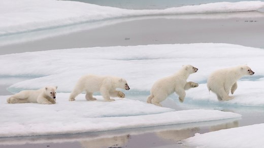 So installiert man FFmpeg und erzeugt Videos aus Zeitrafferfotos