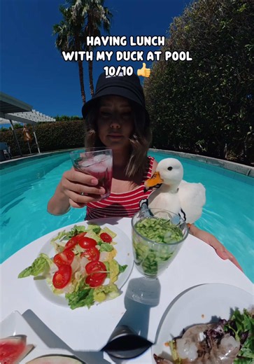 Ultramarine P1 Pool Cleaner Robot — Best Cordless Pool Vacuum Sale