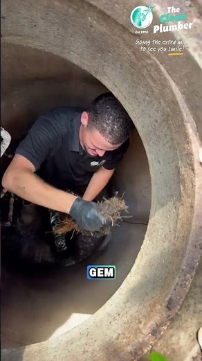 Blocked Drain Caused by Tree Roots | Satisfying Removal #thecleanplumber