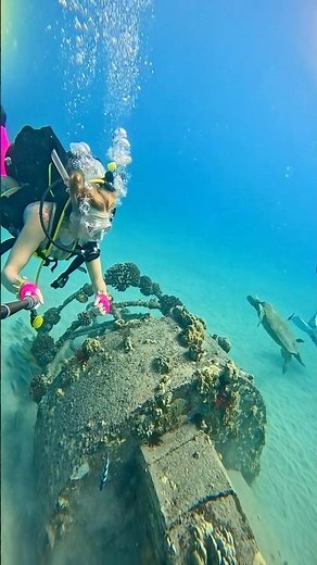 Scubie girls #scuba #diving #underwater #scubadiving