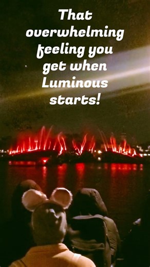 The Most Magical fireworks at Epcot Disney World #epcot #disneymagic #disney