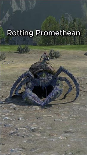 Aranessa Saltspite All Mount Options