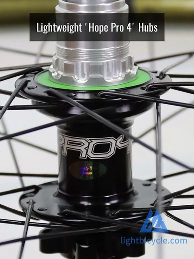 Upgrade with Gold Gloss Carbon Rims! In-Depth Look at 26" High-Performance Wheels