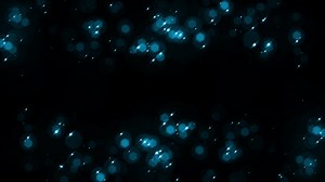 Loop blue star bubbles particles floating  black abstract background.