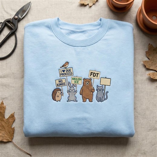 Individuell bestickter Due-Process-Hoodie, Tier-Sweatshirt für soziale Gerechtigkeit, Bürgerrechtsaktivist-Kleidung, kein Kings-Reform-Protest-Top - Etsy.de