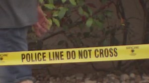 New APD report shows gun crime up in Austin