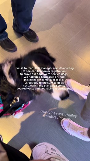 Service Dog Access Issues at Bowling Alley in Tuscon, AZ
