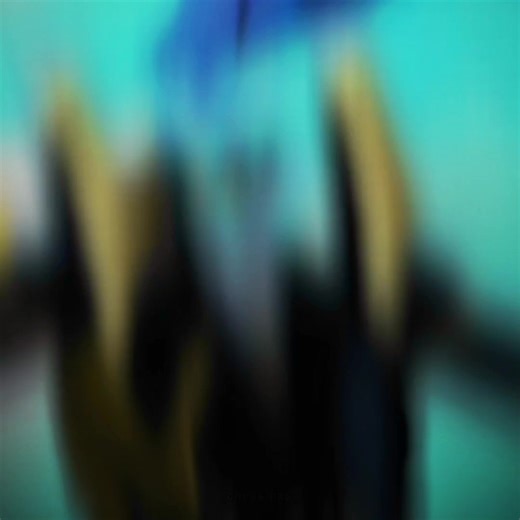 Transformers Animated Prowl Edit Compilation