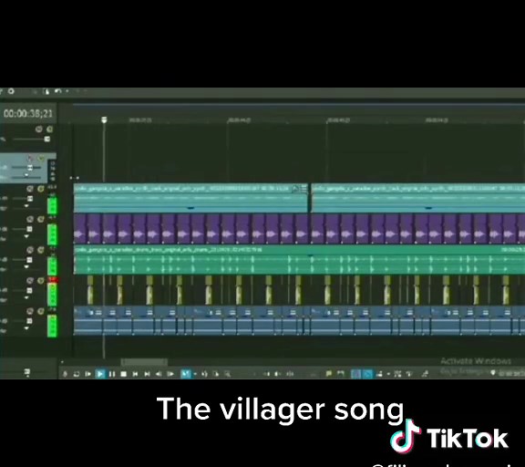 The Villager Song: A Musical Minecraft TikTok Trend