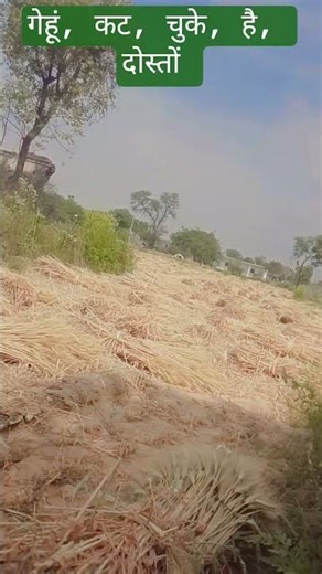 17 मार्च 2026