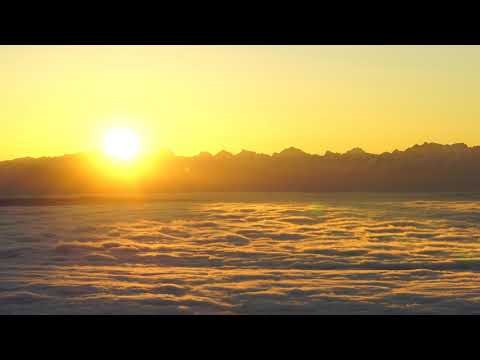 🌿 Sunrise - Free Download | EarthGlow-up 4K Nature Scenery (Today)