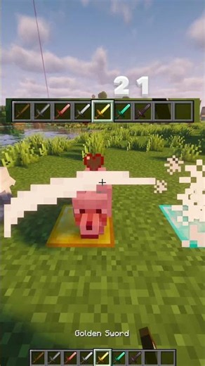 How Many Hits to kill a Wolf ? 🐺 #minecraft