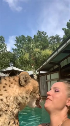 #cheetah #kiss #happy #love #friend #beautiful #smile… | Animals Queen