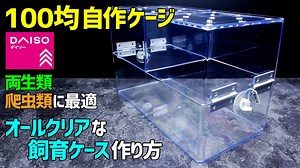 【100均自作ケージ】両生類・爬虫類に最適なオールクリアな飼育ケースの作り方 – こっさんch