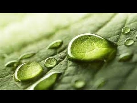 Marconi Union - Weightless (Official Video)